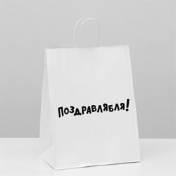 Пакет подарочный "Поздравлямба" 24х10х30см 6851763 - фото 6821