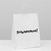 Пакет подарочный "Поздравлямба" 24х10х30см 6851763